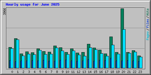 Hourly usage for June 2025