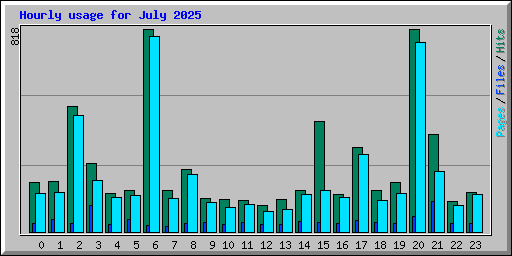 Hourly usage for July 2025