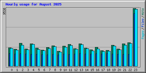 Hourly usage for August 2025