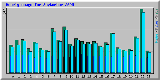 Hourly usage for September 2025