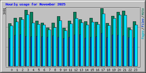 Hourly usage for November 2025
