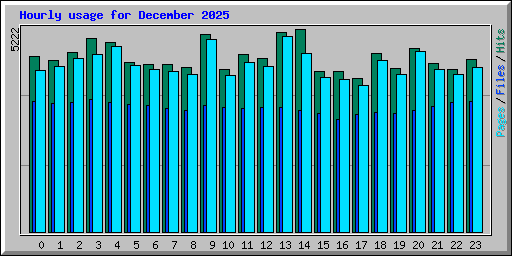 Hourly usage for December 2025