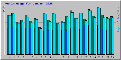 Hourly usage for January 2026